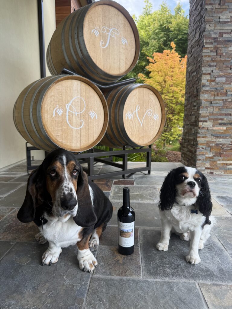 Two dogs by wine barrels and bottle